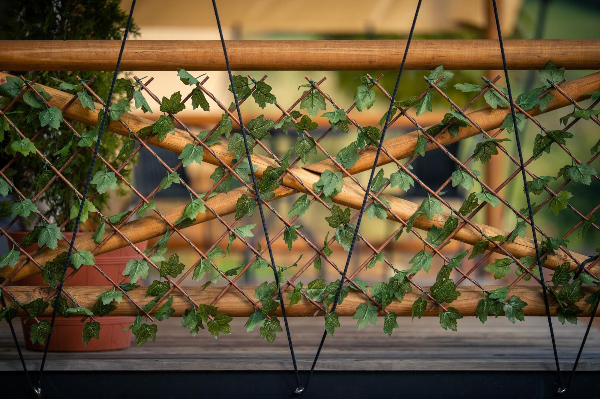 Hotel Glamping Pod Gwiazdami Pietrusza Wola Exterior foto