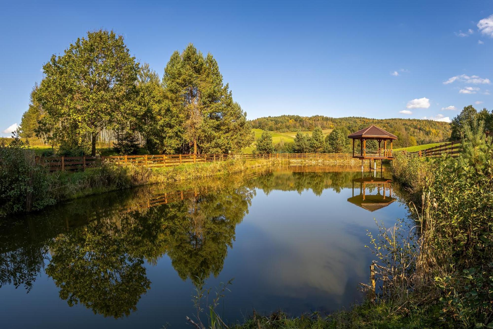 Hotel Glamping Pod Gwiazdami Pietrusza Wola Exterior foto