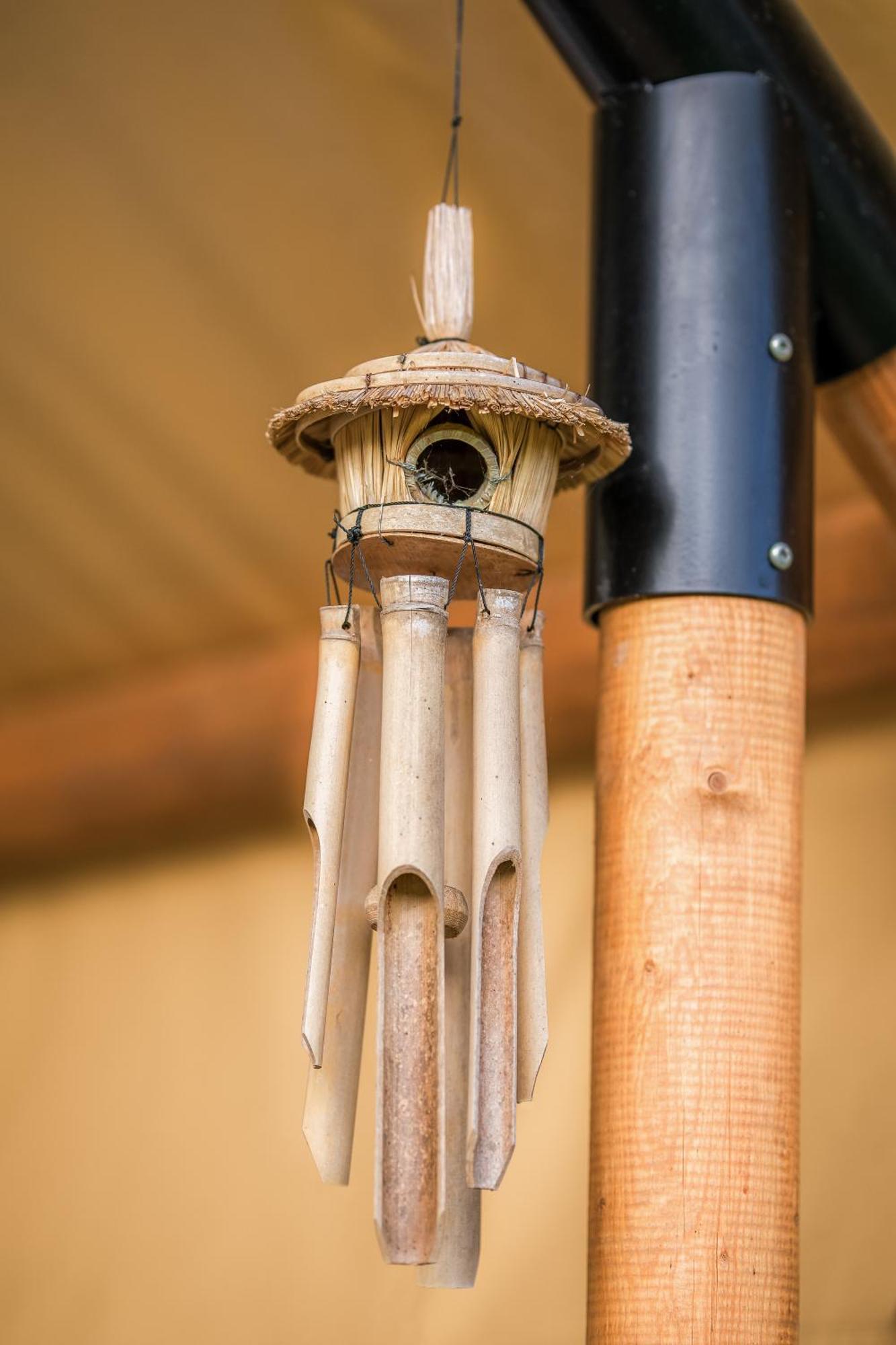 Hotel Glamping Pod Gwiazdami Pietrusza Wola Exterior foto