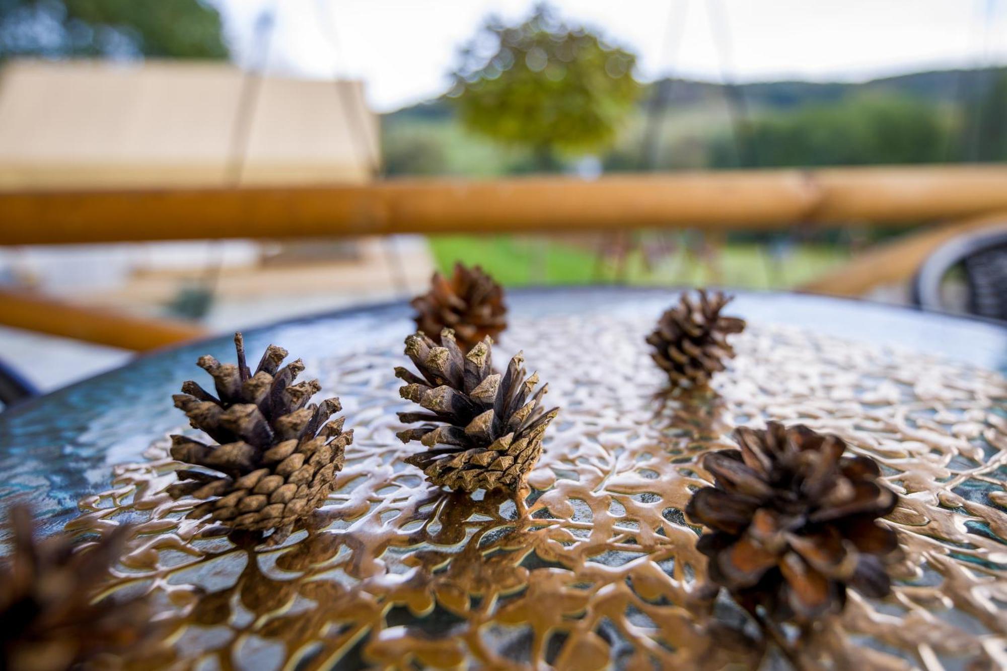 Hotel Glamping Pod Gwiazdami Pietrusza Wola Exterior foto