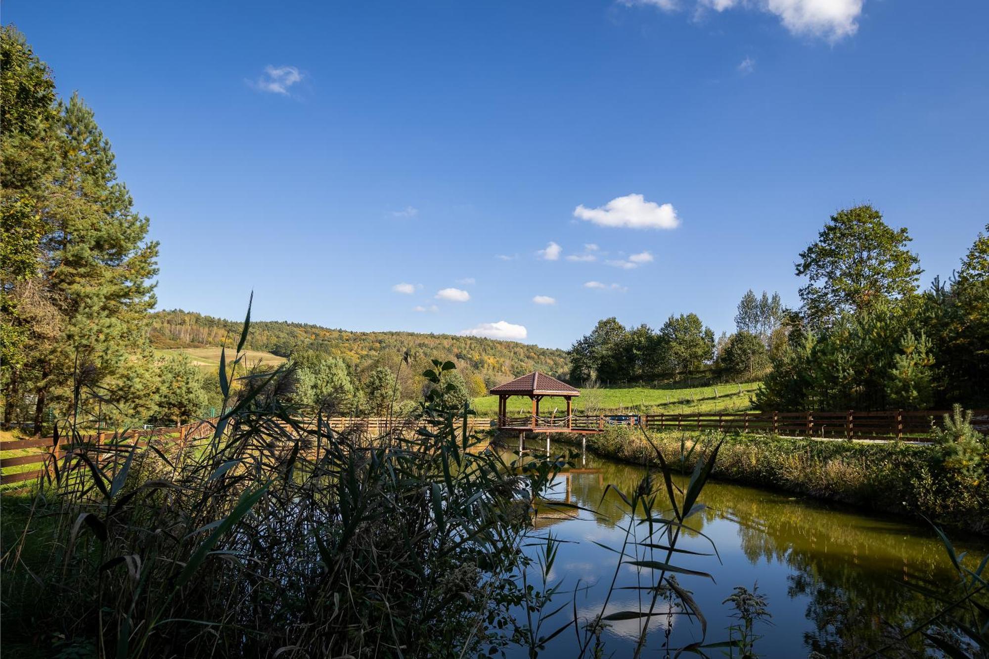 Hotel Glamping Pod Gwiazdami Pietrusza Wola Exterior foto